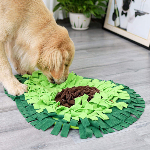 Golden retriever sniffing for treats in the green avocado snuffle mat