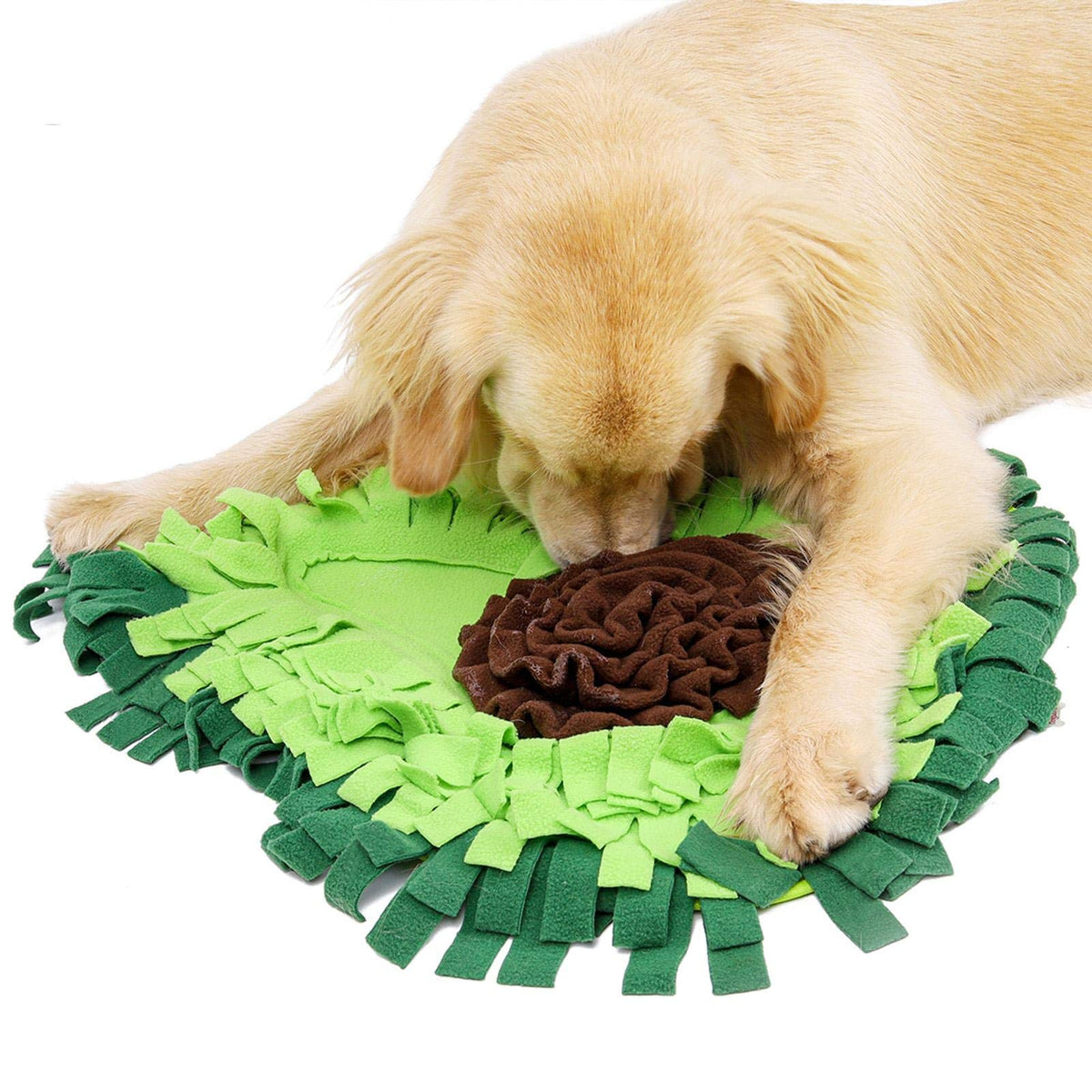 Puppy foraging in the green avocado snuffle mat
