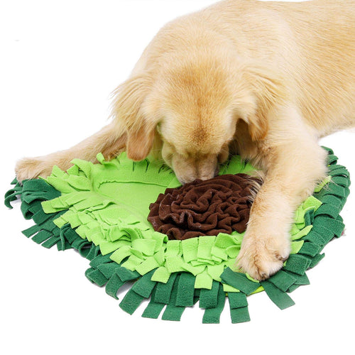 Puppy foraging in the green avocado snuffle mat