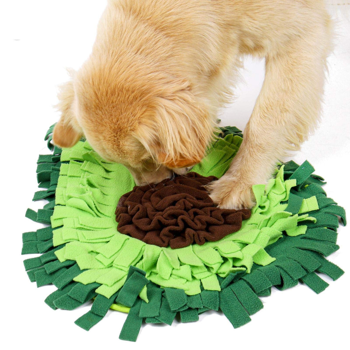 Dog searching for food in the avocado snuffle mat